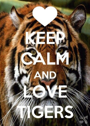 Keep Calm and Love Tigers