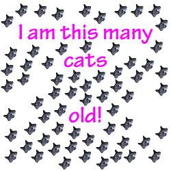 65_cats_old_greeting_card.jpg?height=250&width=250&padToSquare=true