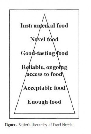 Hierarchy of food needs, in order: enough food, acceptable food ...