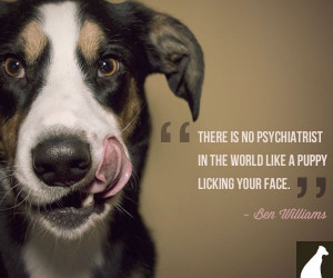 ben williams dog quote