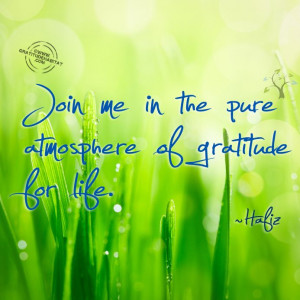 ... Quotes, Hafiz Quotes, Awesome Quotes, Poetry Quotes, Grateful, Quotes