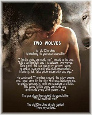 Words of Wisdom from the Wolves by Danny Hahlbohm