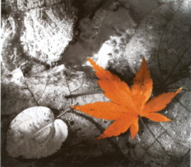 Enjoy these quotes on what it means to be an original.