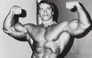 Arnold Schwarzenegger Bodybuilding Gallery 3