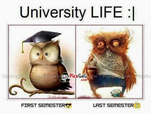 ... life university life quotes funny student university life funny quotes