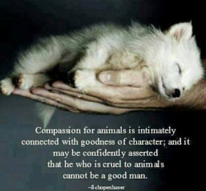 ... animals is intimately associated with goodness of character. Discuss