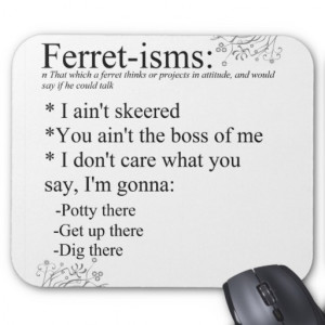 Funny Ferret Gifts Mouse Mats