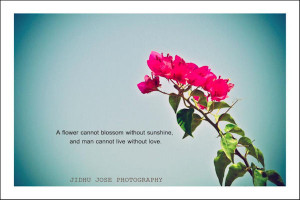 ... quotes are a lovely addition you can visit his wonderful blog if you