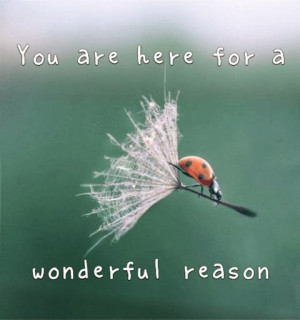 Addiction Quotes Recovery