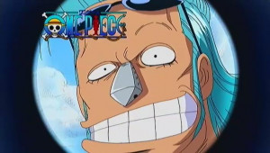 Franky-one-piece-11076359-704-400