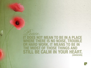 flowers quotes peace poppy 1600x1200 wallpaper Knowledge Quotes HD