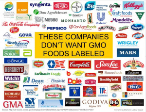 BASF, Syngenta, DuPont, Bayer, Cargill, Kellogs, Coca-Cola, Pepsico ...