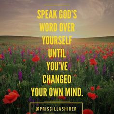 Encouraging words from Priscilla Shirer.