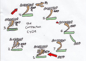 Posted in Uncategorized Leave ament