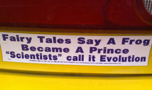 Anti-evolution sticker