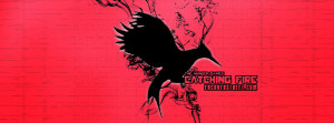 The Hunger Games Catching Fire 2 Picture