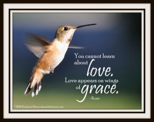 Hummingbird Poems and Quotes