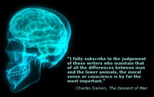 Human skull and brain image with Charles Darwin quotation from The ...