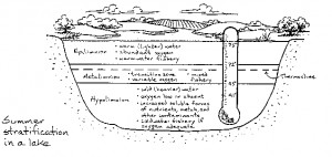 examples of social stratification and social inequality in trinidad