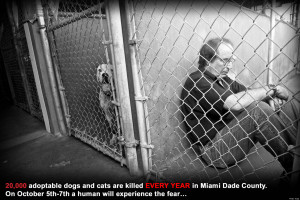 MIAMI-ANIMAL-ADOPTION-PETS-TRUST-MICHAEL-ROSENBERG-facebook.jpg