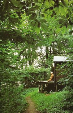 ... teeny meditation house out in the woods at the edge of the garden