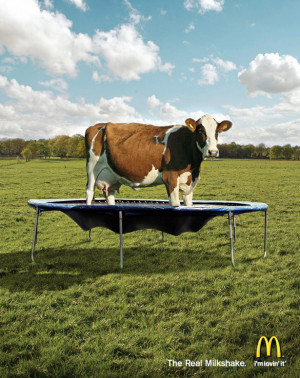 Very Funny And Creative Ads Using Animals (3)