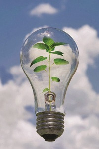 Plant Innovation and Intellectual Property Law Around the World