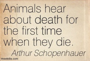 Schopenhauer Quotes Animals Photos | Arthur Schopenhauer : Animals ...