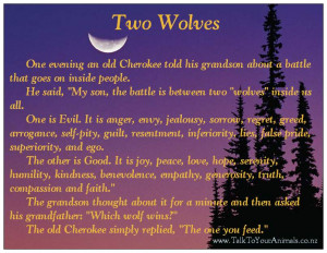 Cherokee Wisdom - Two Wolves $4.50