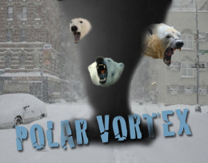 Polar freeze grips United States, coldest temperatures in two decades!