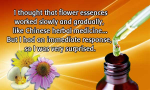 immediate response to flower essences