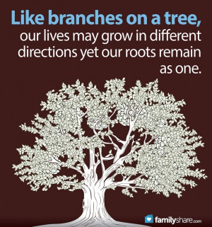 FamilyShare.com | Family reunions: Plan for success