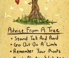 Advice From a Tree Quote