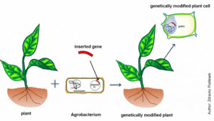 irt news team posted on 9 55 pm august 4 2011 a must see video a ...