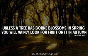 Unless a tree has borne blossoms in spring you will vainly look for ...