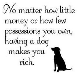 quote #dogs #goodquote #dogquote #sweet #true #unique #love #rich #dog ...