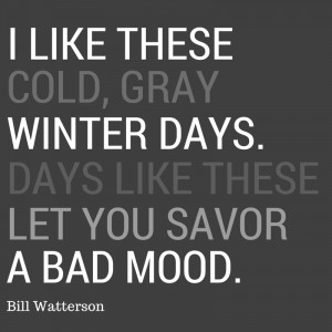 12 Cozy quotes in celebration of the winter solstice