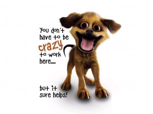 Funny Sayings Crazy Dog Wallpaper with 1024x768 Resolution