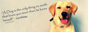 Labradors Dogs Quotes