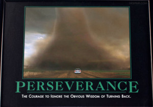 PERSEVERANCE: the courage to ignore the obvious wisdom of turning ...