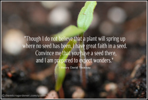 Though I do not believe that a plant will spring up where no seed has ...
