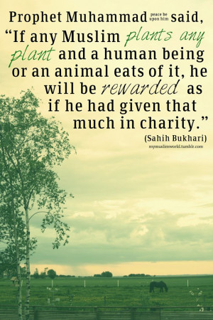 Like 0 Thanks! You've already liked this