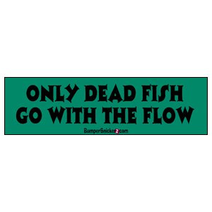 Only dead fish go with the flow - funny bumper stickers (Medium 10x2.8 ...