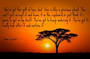 ... the sunset and a quote from John Lennon that love needs to be nurtured