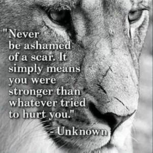 Lion Quotes Strength Lion Motivation Quotes