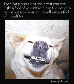dog-quotes-picture-dog-fun.jpg