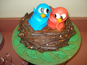 nest cake click here to request a quote on a cake morgantown wv area ...