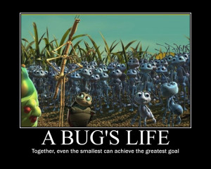 Funny Memes Bugs Life Photo