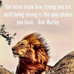 Lion Strong