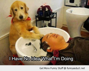 dog washing mans hair salon no idea doing animal funny pics pictures ...